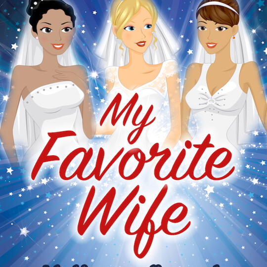 My Favorite Wife book cover